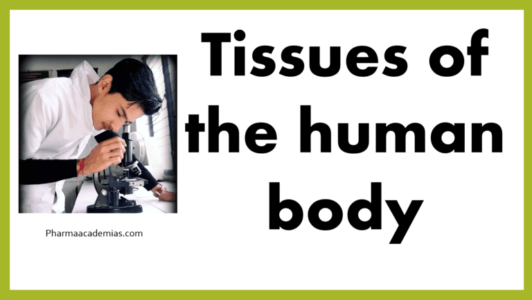 Tissues of the human body