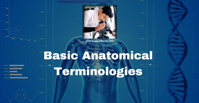 Basic anatomical terminologies