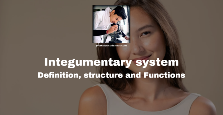 Integumentary system