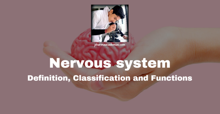 Nervous system: Definition, Classification and Functions