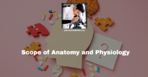 Read more about the article Anatomy and Physiology: Scope and definitions