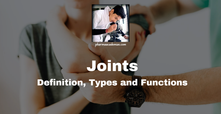 Joints: Definition, Types and Functions