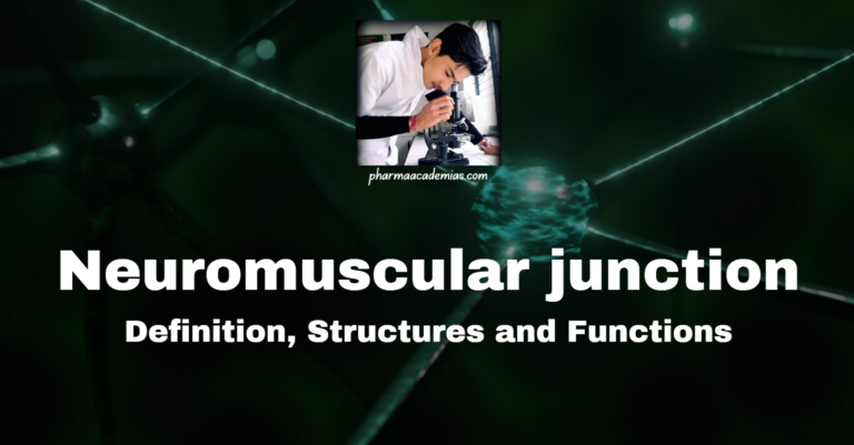 Neuromuscular junction: Anatomy, Physiology, Mechanism and diseases associated