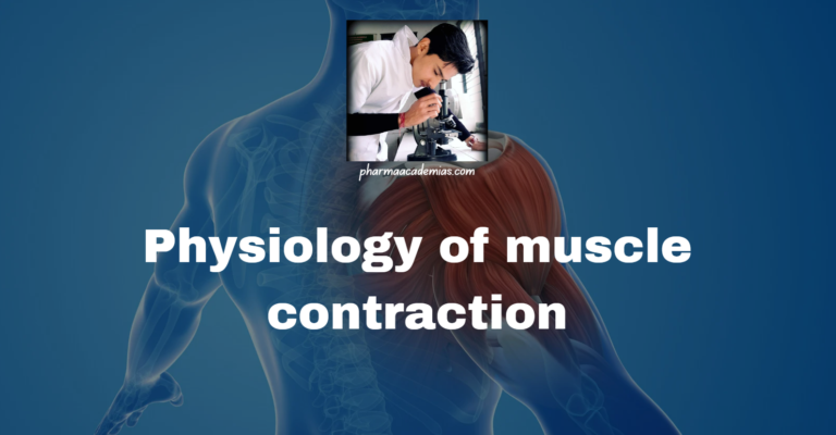 Physiology of Muscle Contraction