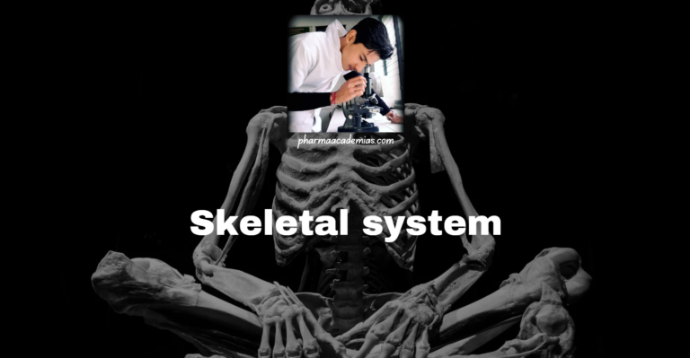 Skeletal system: Definition, Types and functions