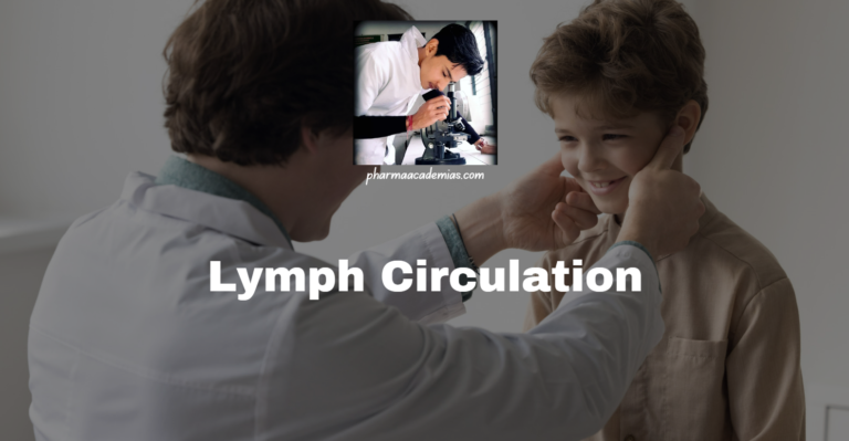 Lymph Circulation: Anatomy, Mechanism, Circulation and Disorders