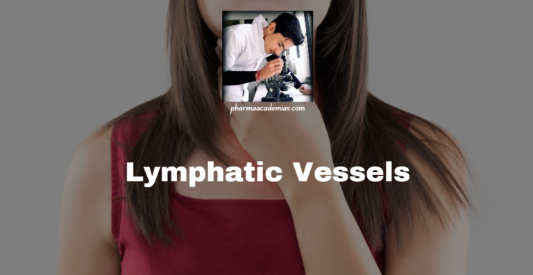 Lymphatic Vessels: Structure, Functions, Types, and clinical significance