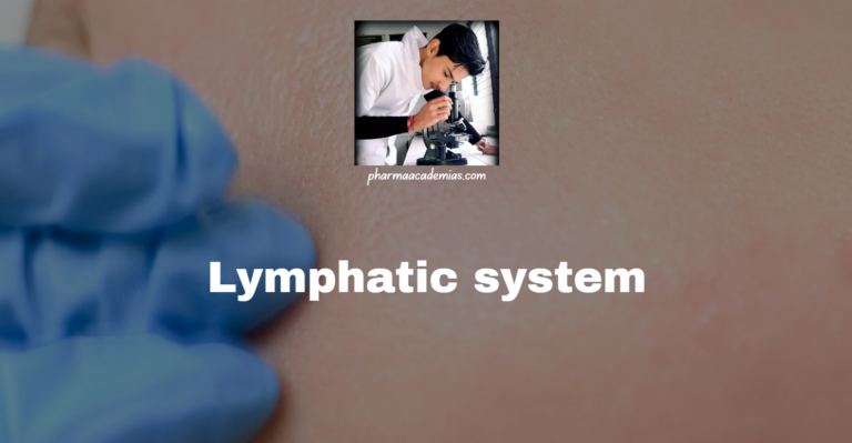 Lymphatic System: Structure, Functions, and Clinical Significance