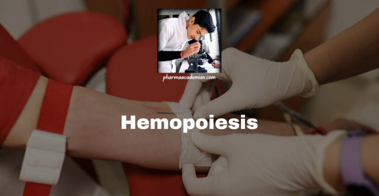 Hemopoiesis: Definition, Types, Process and Regulation