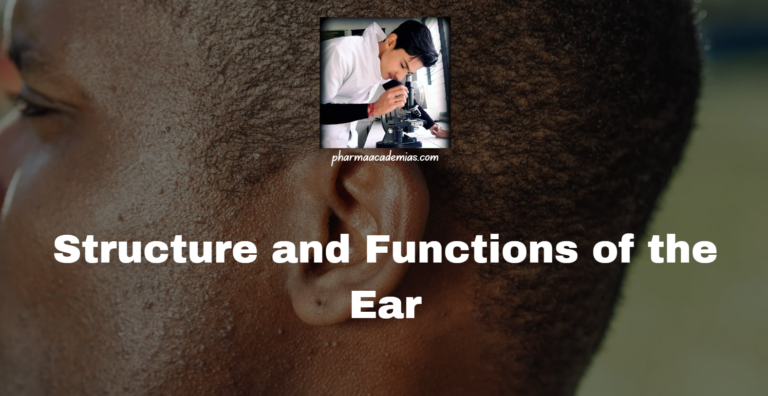 Structure and Functions of the Ear