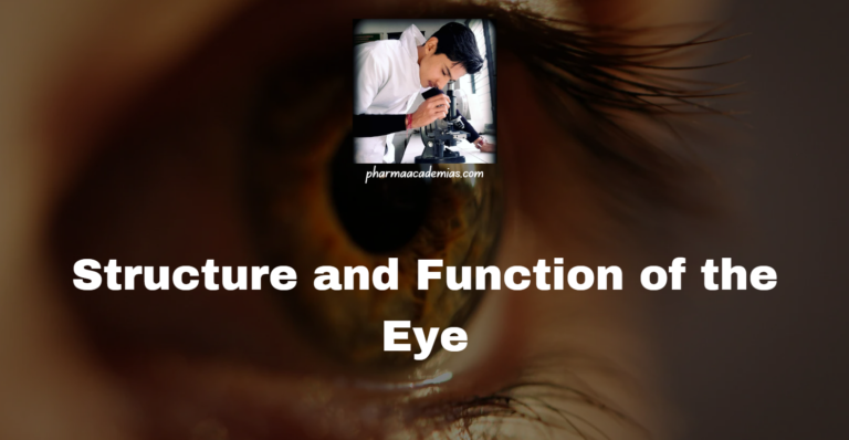 Structure and Function of the Eye