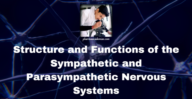 Nervous system: Structure and Functions