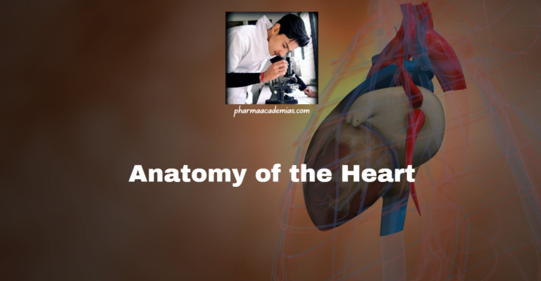 The Heart: Anatomy and Functions