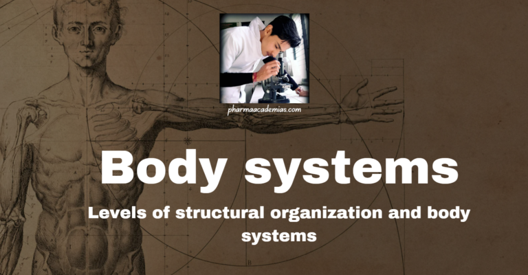 Body systems: Levels of structural organization and body systems