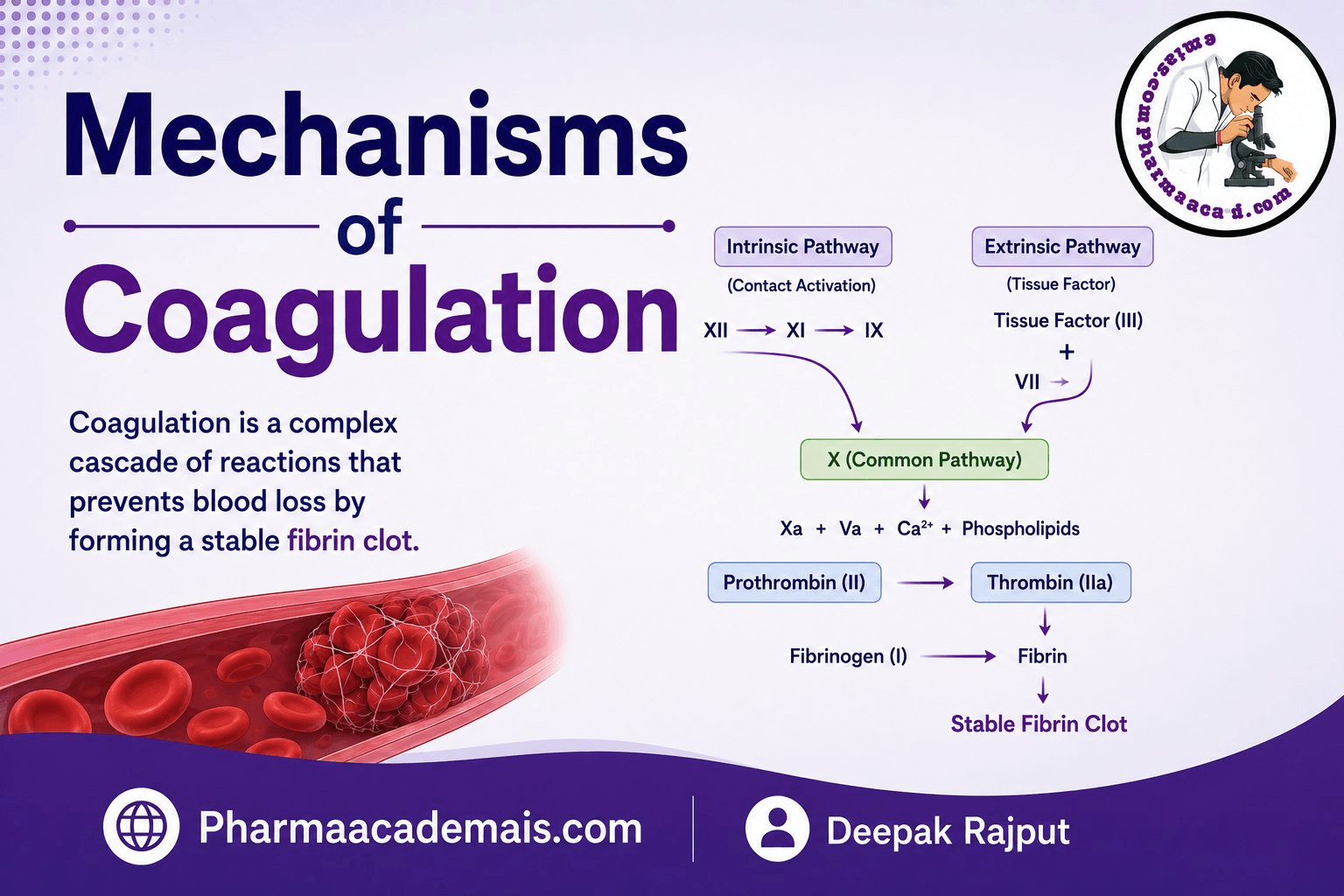 Mechanisms of coagulation