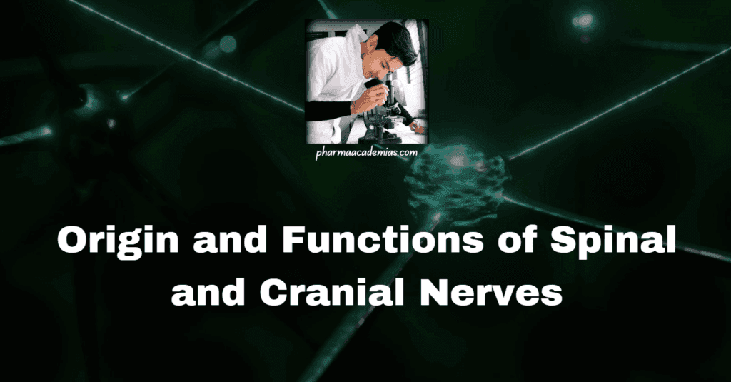 Spinal and Cranial Nerves