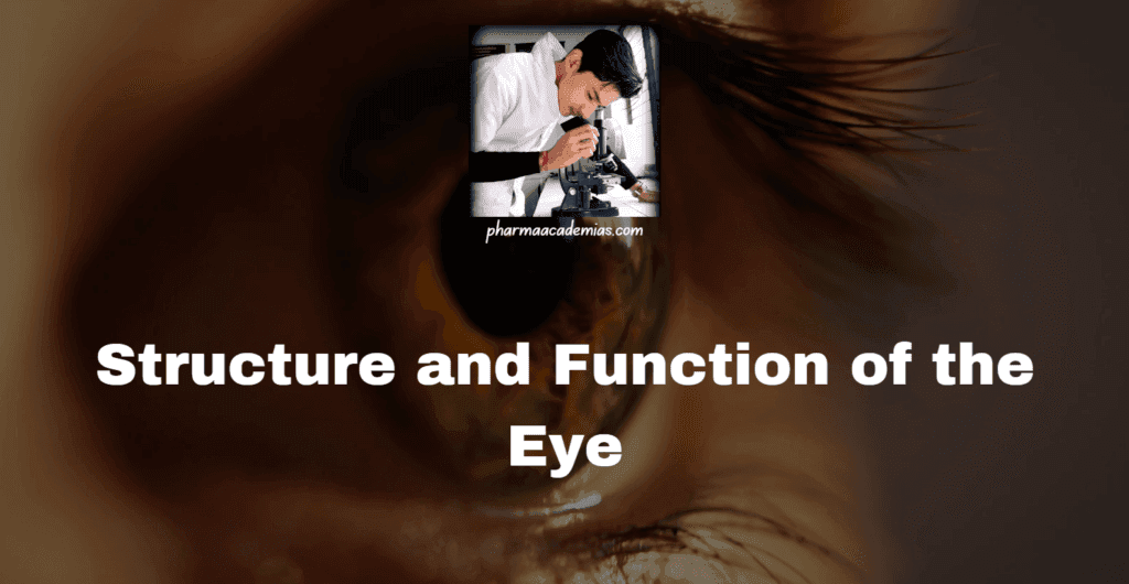 Structure and Function of the Eye