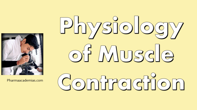 Physiology of Muscle Contraction