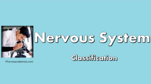 Read more about the article Nervous system – Definition and Classification