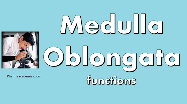 Medulla oblongata – Introduction, Functions