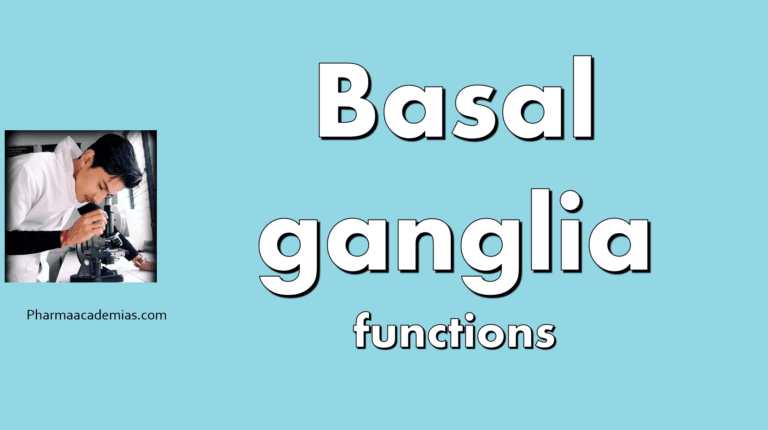 Basal ganglia – Introduction, Funnctinos