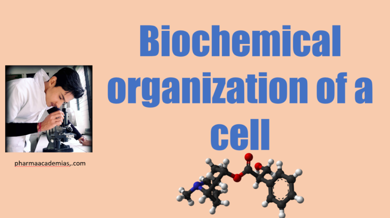 Biochemical organization of a cell