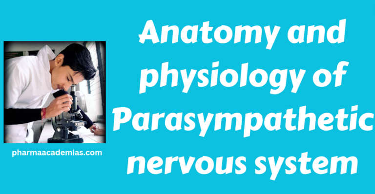 Anatomy and physiology of parasympathetic nervous system