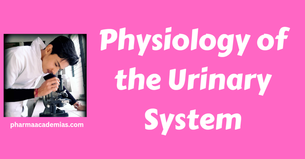 Screenshot 2023 12 01 174246 Physiology of the Urinary System