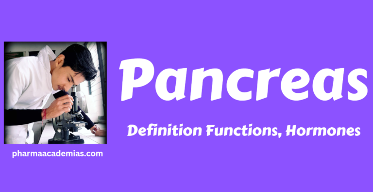 Pancreas – Definition Functions, Hormones
