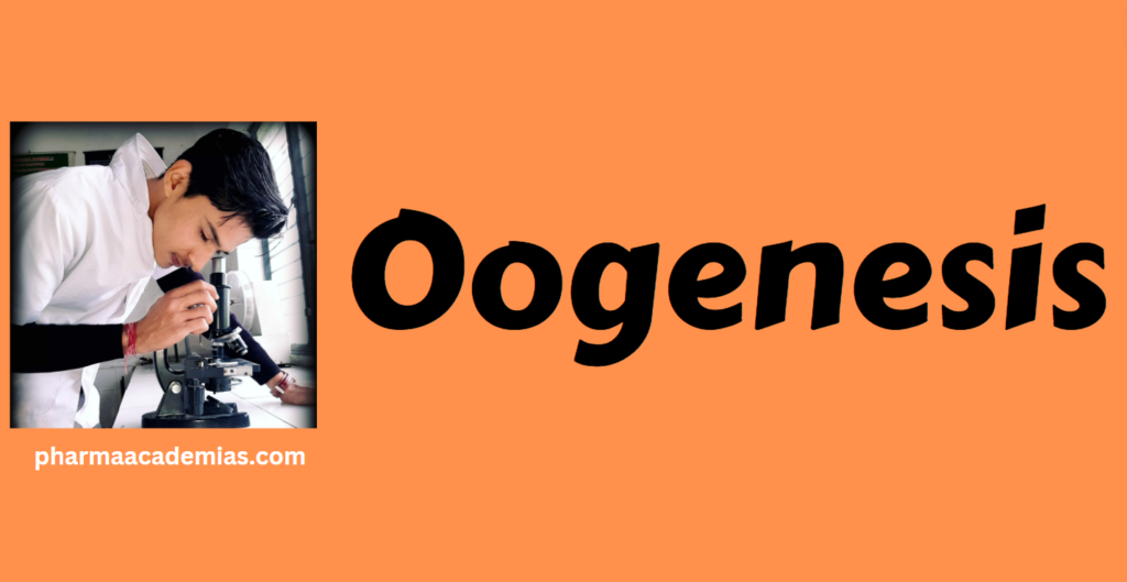 Screenshot 2023 12 03 085519 Oogenesis