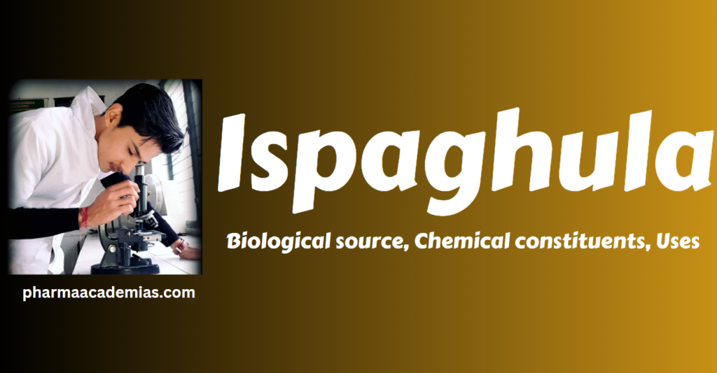 Screenshot 2023 12 07 173112 Ispaghula-Biological source, Chemical constituents, UsesIspaghula