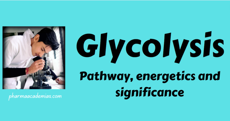 Glycolysis: Pathway, Energetics
