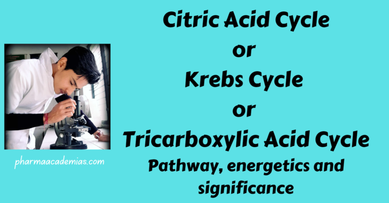 Citric Acid Cycle: Pathway, energetics etc