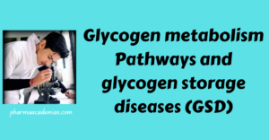 Read more about the article Glycogen metabolism Pathways and glycogen storage diseases (GSD)