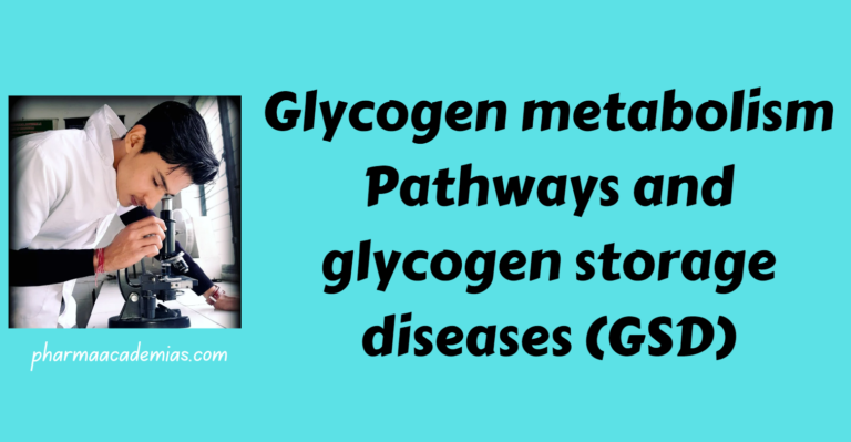 Glycogen metabolism Pathways and glycogen storage diseases (GSD)