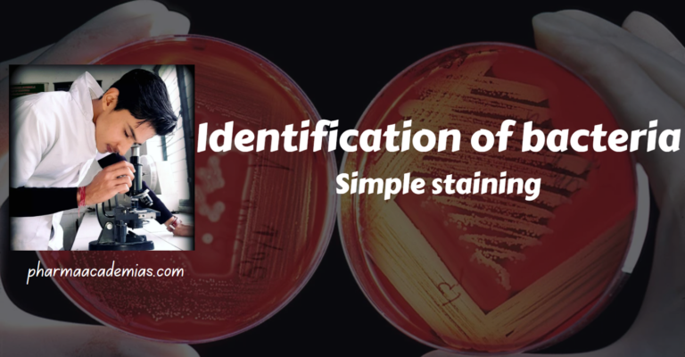 Identification of bacteria: Simple staining