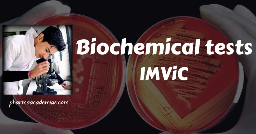 Screenshot 2023 12 28 180712 Biochemical tests: IMViC