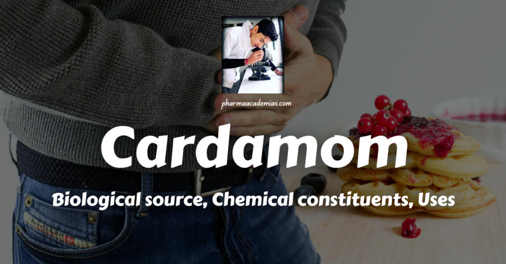 Screenshot 2023 12 29 173143 Cardamom: Biological source, Chemical constituents, Uses
