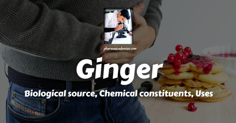 Ginger: Biological Source, Chemical Constituents, Uses