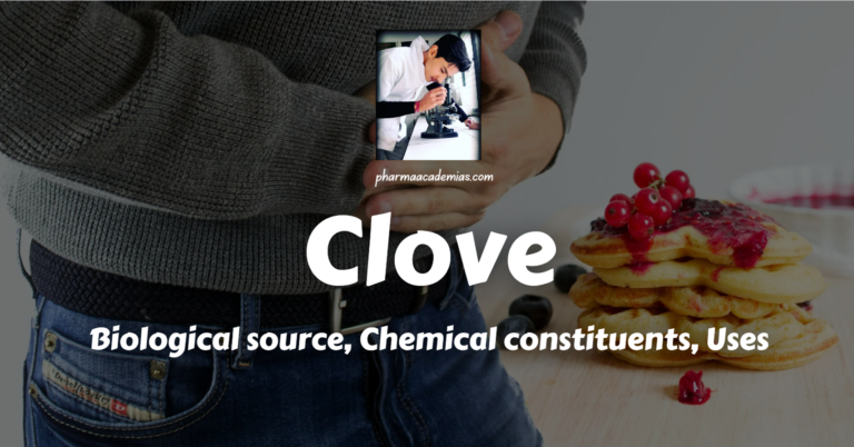 Clove: Biological Source, Chemical Constituents, Uses