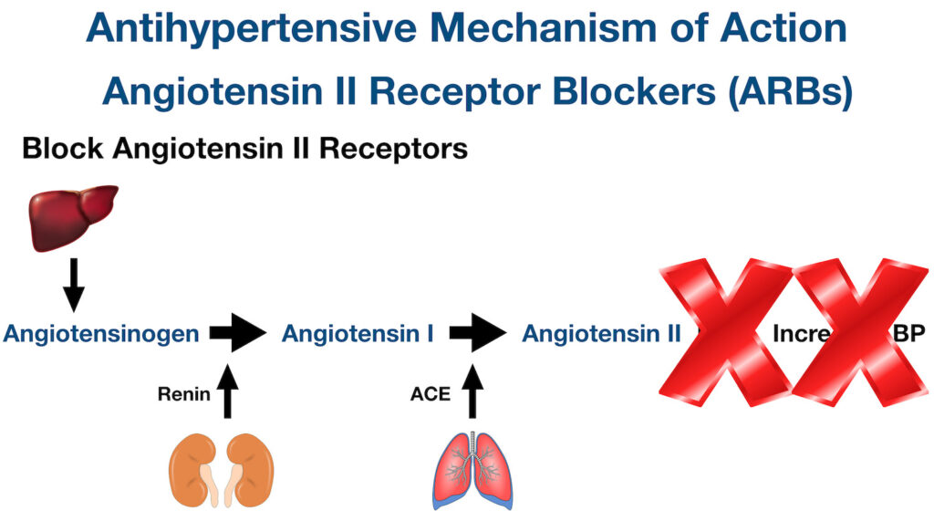 Antihypertensive drugs
