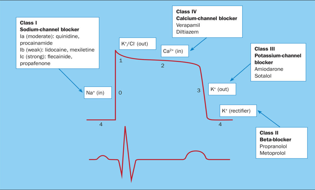 Antiarrhythmic Drugs