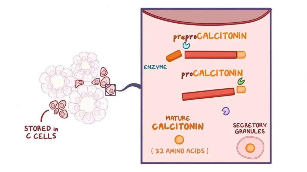 Calcitonin