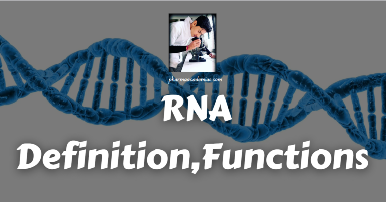 RNA (Ribonucleic Acid): Definition, Function