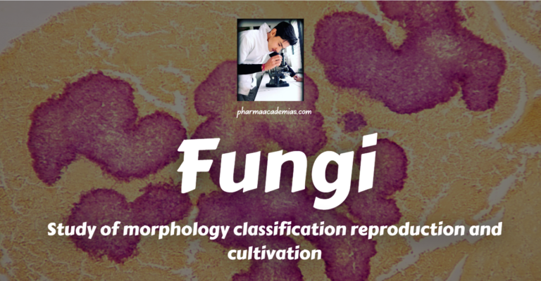 Study of morphology, classification, reproduction/replication, and cultivation of Fungi