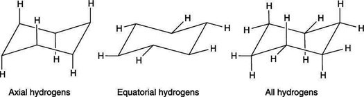 axial hydrogen and equatorial hydrogen
