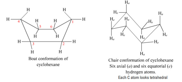 Sachse Mohrs theory