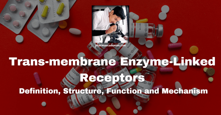 Transmembrane Enzyme-Linked Receptors