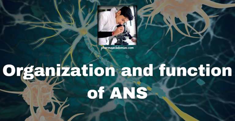 Autonomic Nervous System: Organization and function
