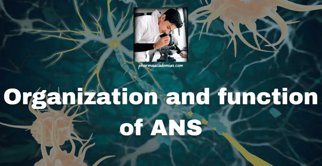Autonomic Nervous System